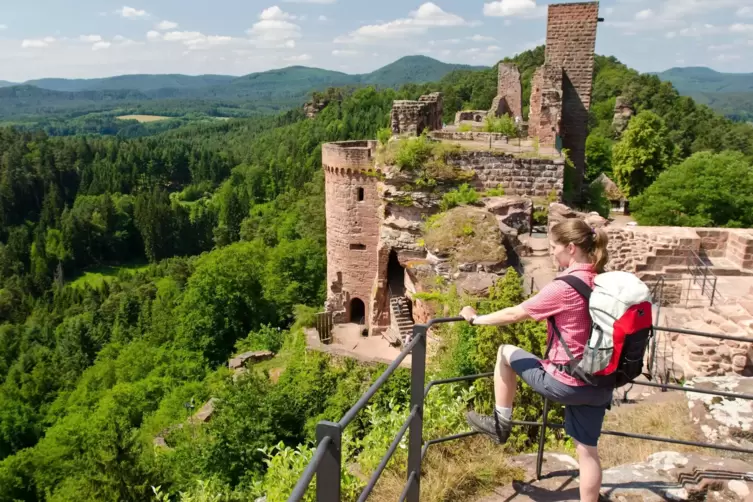 Mit der neuen Strategie soll die ganze Pfalz touristisch verbunden werden. Hier: die Ruine Alt-Dahn.