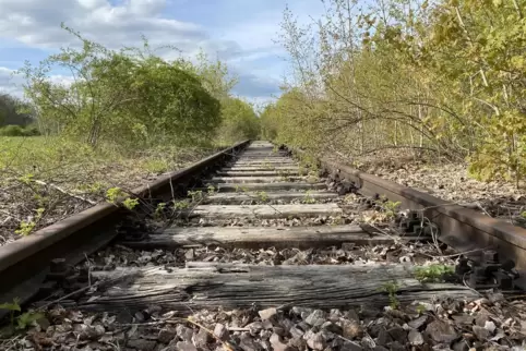 Die immer noch stillgelegte Bahnstrecke Zweibrücken - Homburg, hier bei Schwarzenacker.