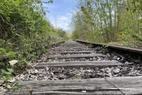 Mitte Mai 2025 sollte die wiederbelebte Bahnstrecke von Homburg nach Zweibrücken in Betrieb genommen werden. 