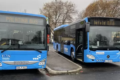 Zwei der neuen Busse: Die Betreiber setzen auf moderne Technik und Komfort.