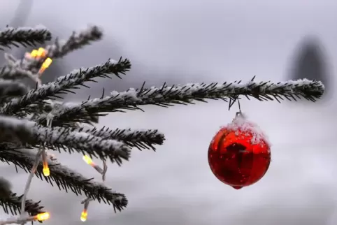Wie wahrscheinlich sind weiße Weihnachten in der Pfalz? Der Pfälzer Wetterexperte Christian Müller klärt auf. 