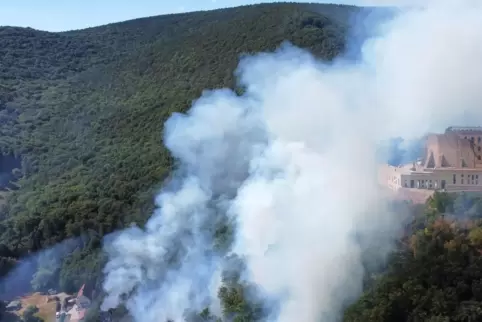 Auch unterhalb des Hambacher Schlosses in Neustadt hat im Sommer der Wald gebrannt.