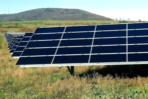 Auf Börrstadter und Imsbacher Gemeindegebiet möchte die EnBW eine Freiflächen-Photovoltaikanlage errichten. Unser Foto zeigt die