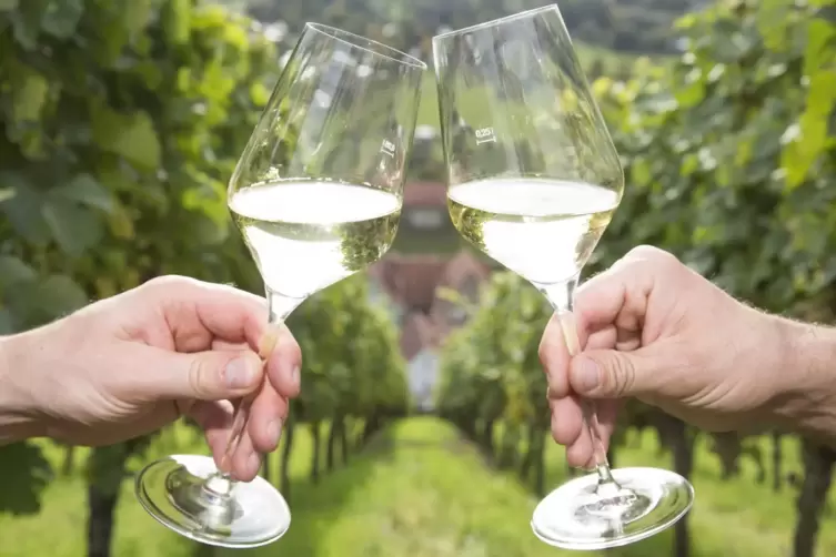 Weinliebhaber, die Gutes tun wollen, haben sich vor gut einem Jahr zum Verein VinoPhilAnthropen zusammengeschlossen. 