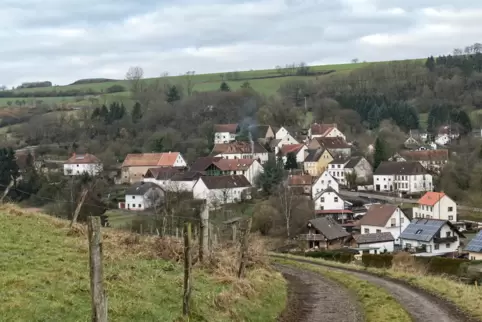 Blick auf den Quirnbacher Ortsteil Liebsthal. 