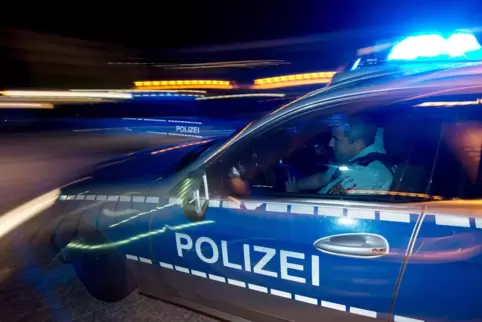 polizei2