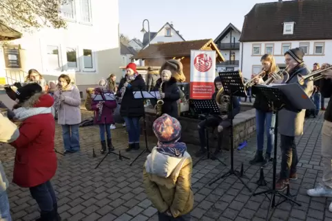 Für die musikalische Untermalung des Weihnachtsmarktes in Erlenbach sorgte eine Gruppe der Emmerich-Smola-Musikschule. 
