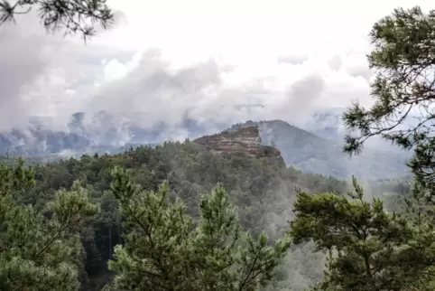 Auf den Wanderwegen der Verbandsgemeinde Hauenstein erschließen sich reizvolle Ausblicke, hier ein Blick vom Kühhungerfelsen bei