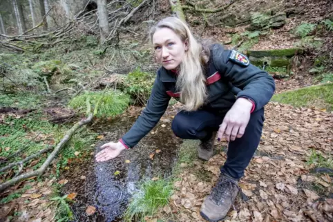 Forstamtsleiterin Dorothea Lehmann und ihre Kollegen beschäftigen sich unter anderem mit der Frage, wie (Regen-)Wasser länger im