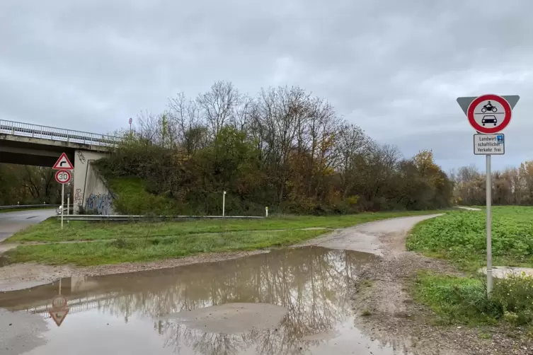 Blick Richtung Bestandsweg an der ehemaligen B9: Bei schlechtem Wetter bildet sich hier eine riesige Pf&uuml;tze. 