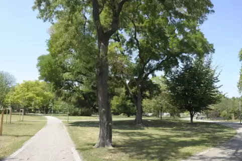 Am Rande des Alwin-Mittasch-Parks könnte eine kleine Einkaufszeile entstehen. 
