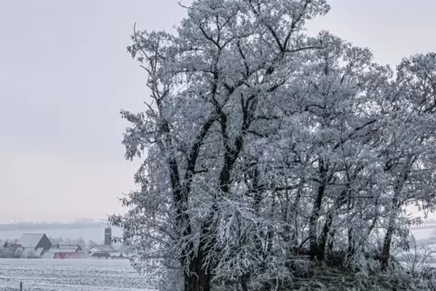 Frostig: Der Sonntagmorgen im Donnersbergkreis. 