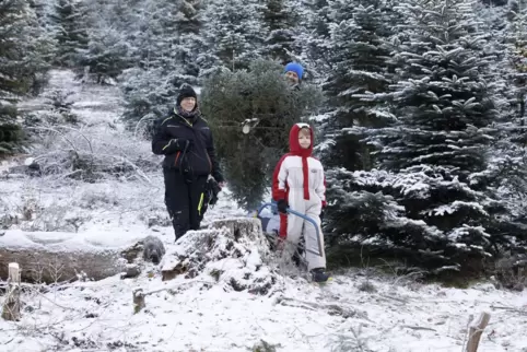 In der „Rummelshald“ unterwegs: Familie Müsseler mit ihrem selbstgeschlagenen Weihnachtsbaum.