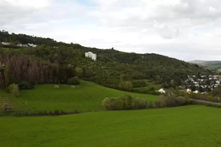 Am westlichen Rockenhausener Stadtrand, an der Kreisstra&szlig;e zum Sitz des Diakoniewerks Zoar auf dem Inkelthalerhof, liegt der Neu
