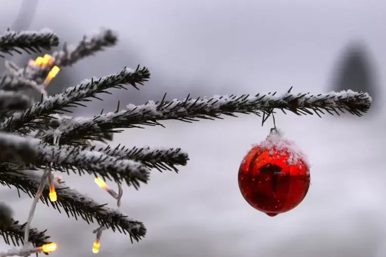 So soll es sein: Weihnachten ist es, Schnell f&auml;llt. 