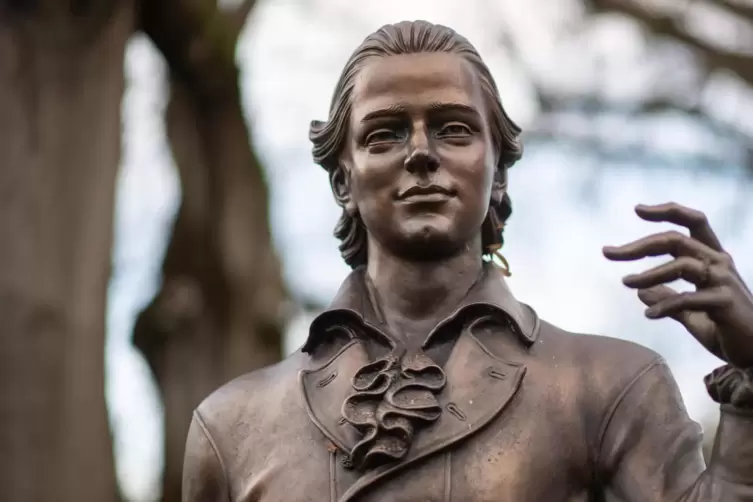 &bdquo;Weh mir, wo nehm ich, wenn / Es Winter ist, die Blumen&ldquo;: Dichter H&ouml;lderlin. 