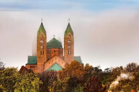 Sollte Schauplatz der Landesgartenschau werden: die Stadt Speyer. Was sich dort in diesem Jahr noch abgespielt hat, ist Inhalt m