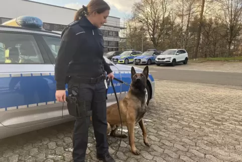 Lässt sich nur von Frauchen knuddeln: Ares und seine Hundeführerin Julia Teufel.