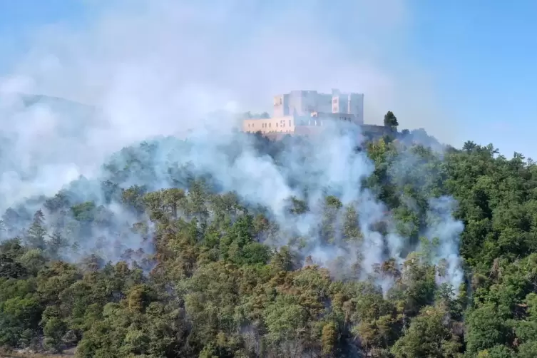 L&auml;ngster Einsatz 2022: der Waldbrand beim Hambacher Schloss Anfang August. 