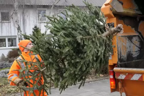 Am Samstag beginnt die Sammlung des Wirtschaftsbetriebs.