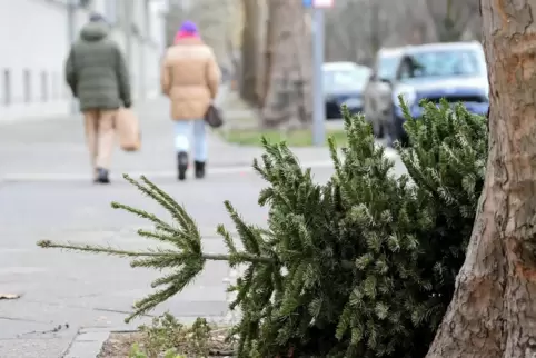 Sollen abgeschmückt am Straßenrand platziert werden: Weihnachtsbäume, die Ehrenamtliche entsorgen. 