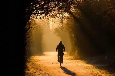 Mit dem Fahrrad zur Arbeit zu fahren, kann angenehm sein und steuerlich begünstigt werden.