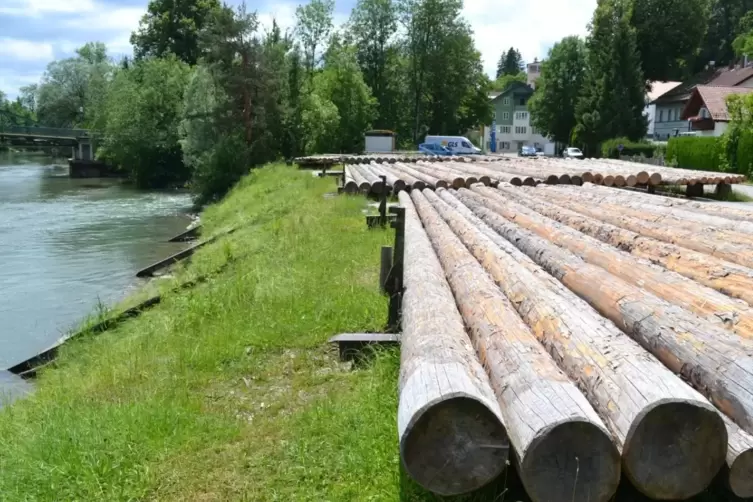 Einsatzbereit: Die einzelnen Fichtenholzst&auml;mme warten oberhalb der Loisach darauf, zu Wasser gelassen zu werden. 