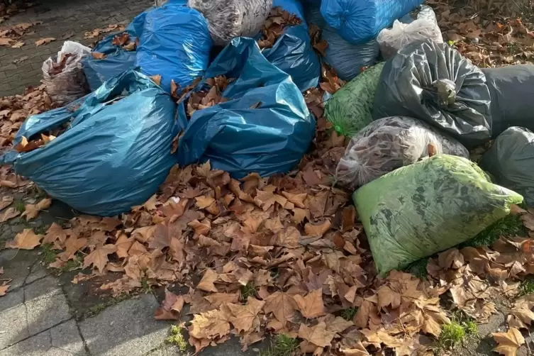 Aus aufgeplatzten S&auml;cken quillen teilweise wieder die trockenen Bl&auml;tter.