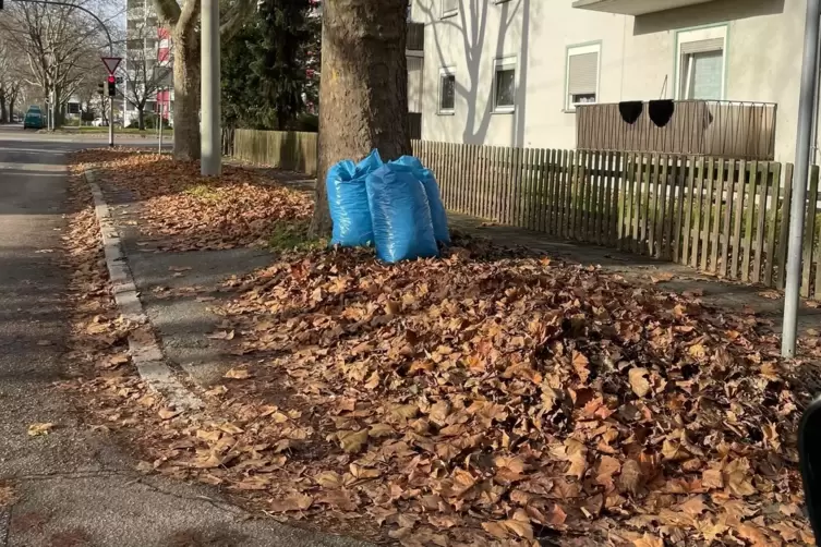 Mancherorts, wie hier in der He&szlig;heimer Stra&szlig;e, liegt mehr Laub neben als im Sack. 