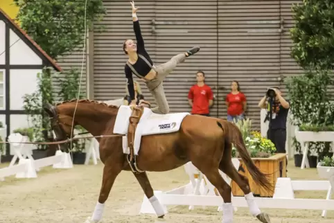 Hannah Steverding belegte mit Royal Flash bei den deutschen Meisterschaften in Verden den fünften Platz.