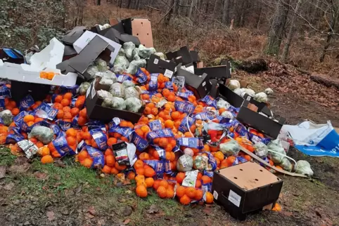 Große Mengen an Obst und Gemüse finden sich zurzeit an zwei Stellen im Wald bei Hochspeyer. 