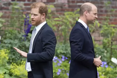 Symbolhafte Szene: Das Verhältnis der Brüder Harry (links) und William ist gestört.