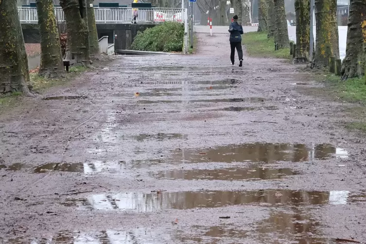 Nach Regengüssen ist das Joggen in der Allee kein Zuckerschlecken. 