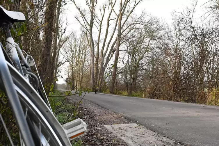 Auch der Radweg im Dürkheimer Bruch gehört zur Strecke.