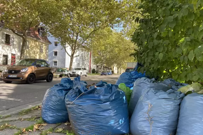 Vertrautes Bild im Stadtgebiet: Bürger haben eigene Säcke anstelle der kostenpflichtigen Behälter mit Laub gefüllt und am Straße Vertrautes Bild im Stadtgebiet: Bürger haben eigene Säcke anstelle der kostenpflichtigen Behälter mit Laub gefüllt und am Straße