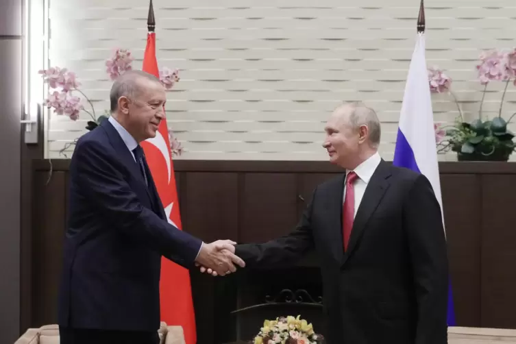 Im August empfing Wladimir Putin (rechts) Recep Tayyip Erdogan in seiner Sommerresidenz im russischen Badeort Sotschi. 