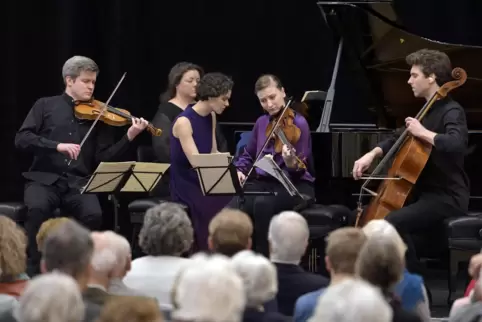 Das Notos Quartett – hier mit Gast Wolfgang Günter am Kontrabass – zählt zu den gefragtesten Kammermusik-Ensembles der Welt.
