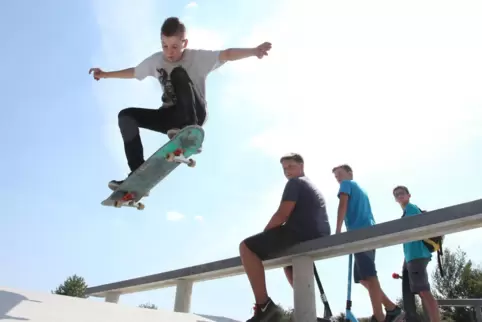 Im Landauer Skatepark. 