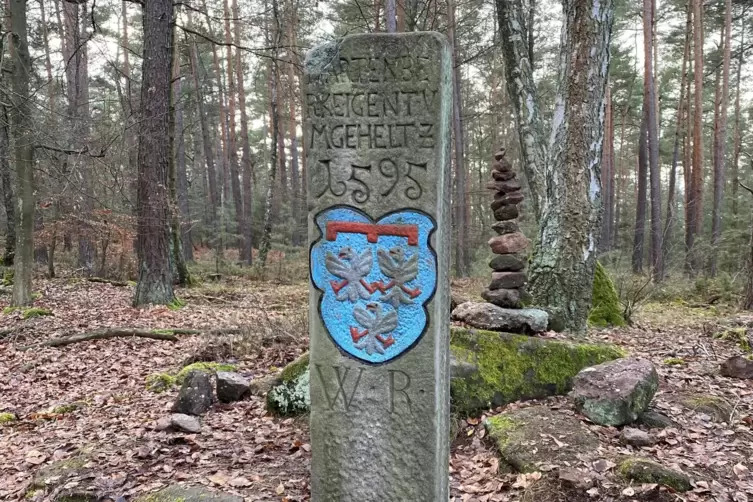 Markierte das Waldgebiet der Leininger Grafen: Grenzstein.