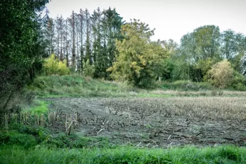 Um dieses Gebiet dreht es sich bei Steffen Schmidts Bürgerbegehren. Entsteht hier ein Baugebiet, entspräche es nicht dem Charakt