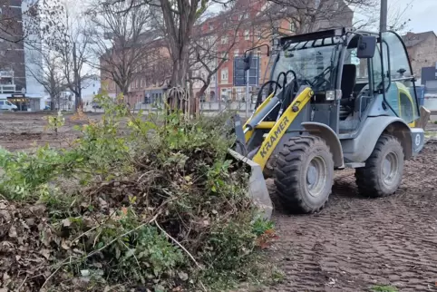 Das Gelände ist bereits gerodet, die Bagger räumen auf.