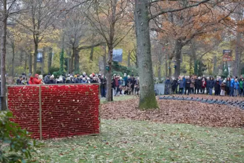 Zogen das Publikum bei der Eröffnung in Scharen an: die Installationen mit Grablichtern und Gießkannen von Thomas Brenner.