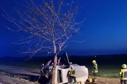 Das Auto kollidierte neben der Fahrbahn mit einem Baum. 