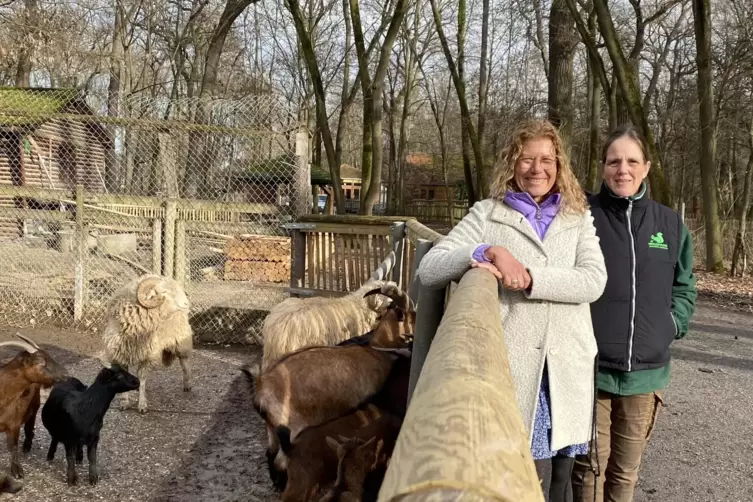 Gabriele Bindert (links) und Monika Hussmann haben sich überzeugt, dass die Ziegen sich im neuen Gehege wohlfühlen.
