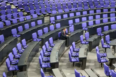 736 Abgeordnete gehören derzeit dem Bundestag an.
