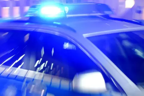 Die Polizei konnte die jungen Täter stellen. 