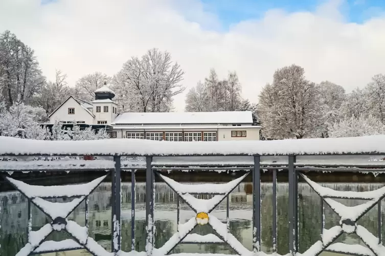 &bdquo;Gleich nach dem Fr&uuml;hst&uuml;ck bin ich am Samstag in die Fasanerie gefahren, um endlich einmal wieder ein paar Fotos im Schnee mache
