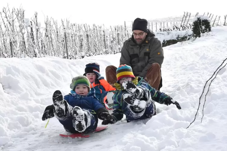 Endlich Schnee: Auf dem Michelsberg rutschen Joris, Ilija und Mattes mit Papa Florian um die Wette. 