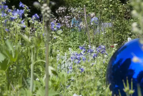 Jeder kann teilnehmen, egal ob mit kleinem Ziergarten, begrüntem Innenhof, Themengarten oder Schwimmteich.