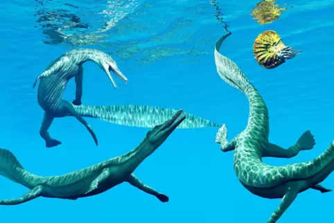 Mesosaurus Reptilien jagen unter Wasser einen Ammoniten (ein ebenfalls ausgestorbener Kopffüßler. 